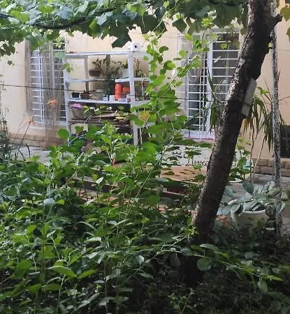 Nekrasov Apartment *